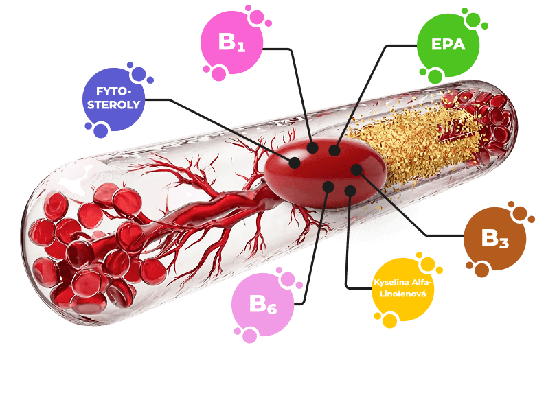 Ilustrácia kapsuly s vitamínmi